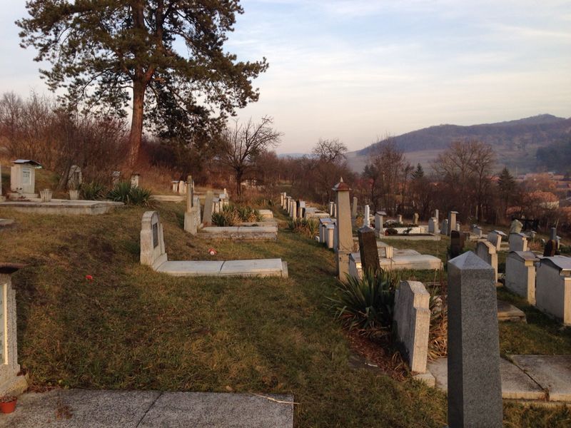 Image 8 of 37  -  114 kB